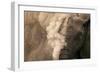 Elephant Dust Bathing-Martin Harvey-Framed Photographic Print