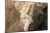 Elephant Dust Bathing-Martin Harvey-Mounted Photographic Print