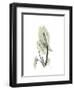 Elephant Ear Portrait-Albert Koetsier-Framed Art Print