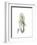 Elephant Ear Portrait-Albert Koetsier-Framed Art Print