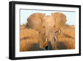 Elephant Ears-Howard Ruby-Framed Photographic Print