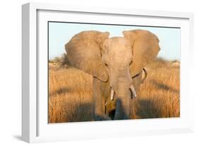 Elephant Ears-Howard Ruby-Framed Photographic Print