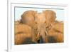 Elephant Ears-Howard Ruby-Framed Photographic Print