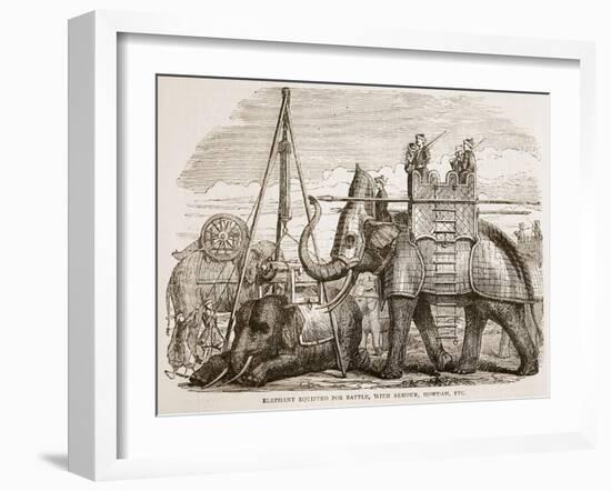 Elephant Equipped for Battle-null-Framed Giclee Print