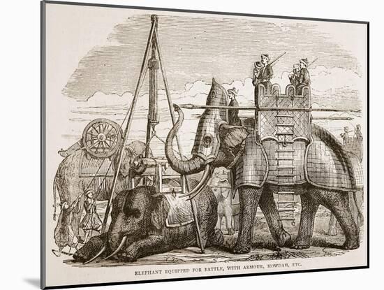 Elephant Equipped for Battle-null-Mounted Giclee Print