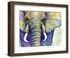Elephant Face-Michelle Faber-Framed Giclee Print