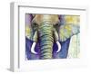 Elephant Face-Michelle Faber-Framed Giclee Print