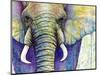 Elephant Face-Michelle Faber-Mounted Giclee Print