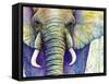 Elephant Face-Michelle Faber-Framed Stretched Canvas