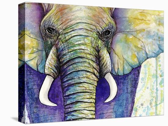 Elephant Face-Michelle Faber-Stretched Canvas