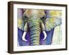 Elephant Face-Michelle Faber-Framed Giclee Print