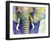 Elephant Face-Michelle Faber-Framed Giclee Print