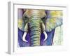 Elephant Face-Michelle Faber-Framed Giclee Print