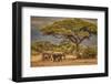 Elephant family, Amboseli Nation Park, Africa-John Wilson-Framed Photographic Print