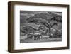 Elephant family, Amboseli Nation Park, Africa-John Wilson-Framed Photographic Print