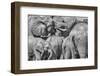 Elephant family, Amboseli National Park, Africa-John Wilson-Framed Photographic Print