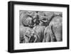 Elephant family, Amboseli National Park, Africa-John Wilson-Framed Photographic Print