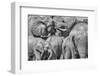 Elephant family, Amboseli National Park, Africa-John Wilson-Framed Photographic Print