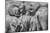 Elephant family, Amboseli National Park, Africa-John Wilson-Mounted Photographic Print