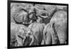 Elephant family, Amboseli National Park, Africa-John Wilson-Framed Photographic Print