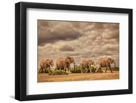 Elephant family, Amboseli National Park, Africa-John Wilson-Framed Photographic Print