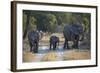 Elephant Family, Mother, Juvenile and Baby, Walking on Path-Sheila Haddad-Framed Photographic Print