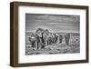 Elephant family train, Amboseli National Park, Africa-John Wilson-Framed Photographic Print