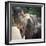 Elephant Feeding at Pinnewala Elephant Orphanage, Sri Lanka, Asia-Charlie Harding-Framed Photographic Print