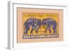 Elephant Fight-null-Framed Art Print