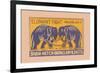 Elephant Fight-null-Framed Premium Giclee Print