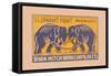 Elephant Fight-null-Framed Stretched Canvas