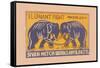 Elephant Fight-null-Framed Stretched Canvas