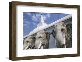 Elephant Frieze at Ruvanvelisaya Dagoba-Jon Hicks-Framed Photographic Print