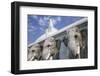 Elephant Frieze at Ruvanvelisaya Dagoba-Jon Hicks-Framed Photographic Print