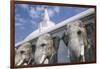 Elephant Frieze at Ruvanvelisaya Dagoba-Jon Hicks-Framed Photographic Print