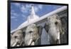 Elephant Frieze at Ruvanvelisaya Dagoba-Jon Hicks-Framed Photographic Print