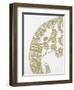 Elephant Gold 2-Pam Varacek-Framed Art Print