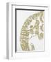 Elephant Gold 2-Pam Varacek-Framed Art Print