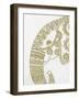 Elephant Gold 2-Pam Varacek-Framed Art Print