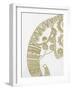 Elephant Gold 2-Pam Varacek-Framed Art Print