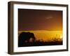 Elephant Grazing at Sunset, Tarangire National Park, Tanzania-Merrill Images-Framed Premium Photographic Print