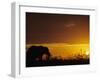 Elephant Grazing at Sunset, Tarangire National Park, Tanzania-Merrill Images-Framed Premium Photographic Print