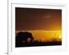 Elephant Grazing at Sunset, Tarangire National Park, Tanzania-Merrill Images-Framed Photographic Print