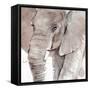 Elephant Grooves I-Annie Warren-Framed Stretched Canvas