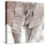 Elephant Grooves I-Annie Warren-Stretched Canvas