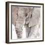 Elephant Grooves I-Annie Warren-Framed Art Print