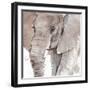 Elephant Grooves I-Annie Warren-Framed Art Print