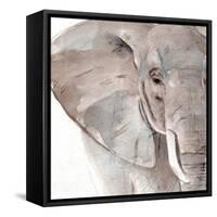 Elephant Grooves II-Annie Warren-Framed Stretched Canvas