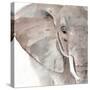 Elephant Grooves II-Annie Warren-Stretched Canvas
