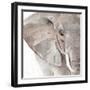 Elephant Grooves II-Annie Warren-Framed Art Print